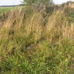 Słowiańskie ślady