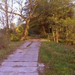 Stacja Radiolokacyjna „AVIA W” w lasach Wólki Plebańskiej