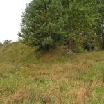 Umocnienia Twierdzy Brzeskiej „Bateria Kolonia Dobratycze”