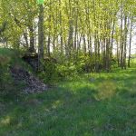 Umocnienia Twierdzy Brzeskiej „Bateria Kolonia Dobratycze”