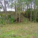 Umocnienia Twierdzy Brzeskiej „Bateria Kolonia Dobratycze”