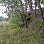 Umocnienia Twierdzy Brzeskiej „Bateria Kolonia Dobratycze”