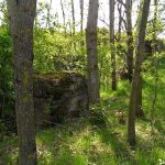 Umocnienia Twierdzy Brzeskiej „Bateria Kolonia Dobratycze”