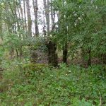 Umocnienia Twierdzy Brzeskiej „Bateria Kolonia Dobratycze”