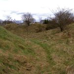 Umocnienia Twierdzy Brzeskiej „Bateria Kolonia Dobratycze”