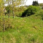 Umocnienia Twierdzy Brzeskiej „Bateria Kolonia Dobratycze”