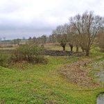 Tajemnicza Wieża w Stołpiu