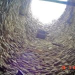 Tajemnicza Wieża w Stołpiu