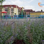 Otwarto "park wodny"