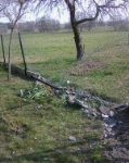 Prośba o pomoc w ustaleniu sprawcy uszkodzenia ogrodzenia w Cieleśnicy