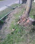 Prośba o pomoc w ustaleniu sprawcy uszkodzenia ogrodzenia w Cieleśnicy