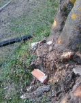 Prośba o pomoc w ustaleniu sprawcy uszkodzenia ogrodzenia w Cieleśnicy