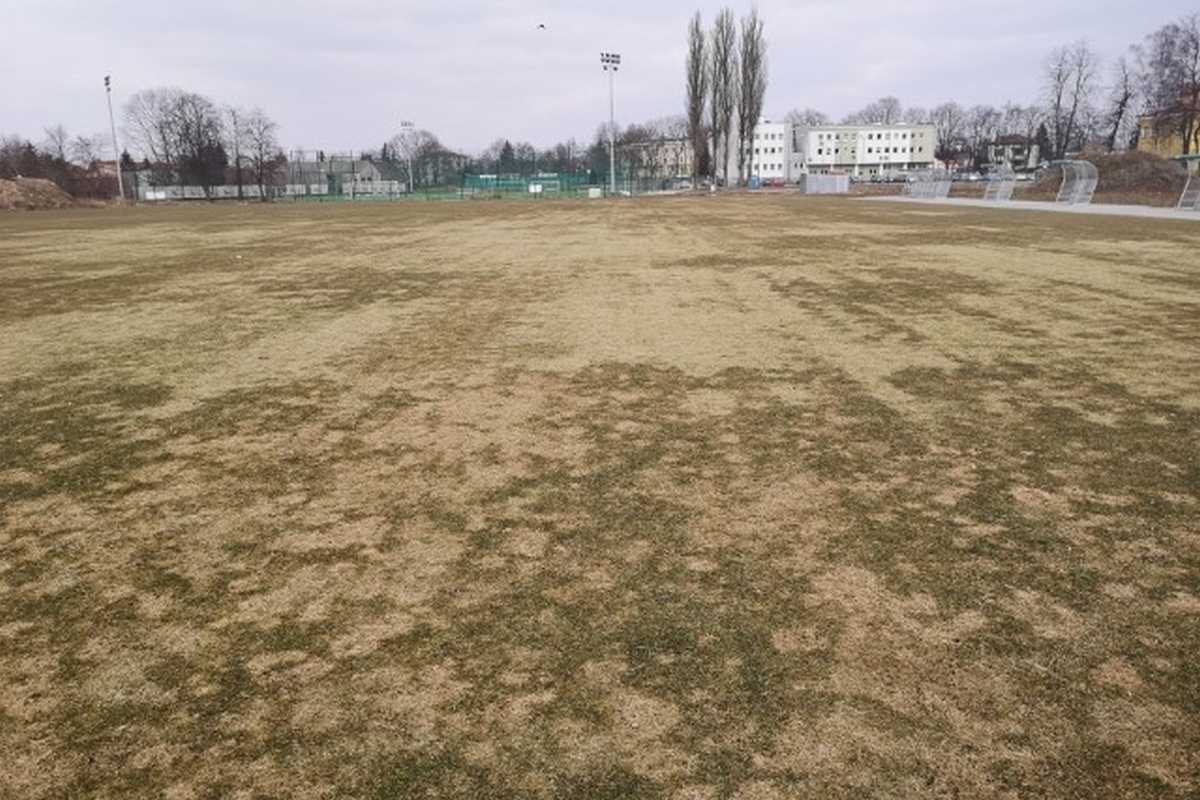 Biała Samorządowa pyta co ze stadionem i murawą