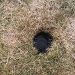 Biała Samorządowa pyta co ze stadionem i murawą