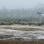 Biała Samorządowa pyta co ze stadionem i murawą