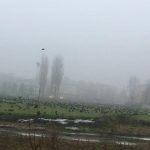 Biała Samorządowa pyta co ze stadionem i murawą