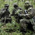 Terytorialsi powracają do ćwiczeń w terenie