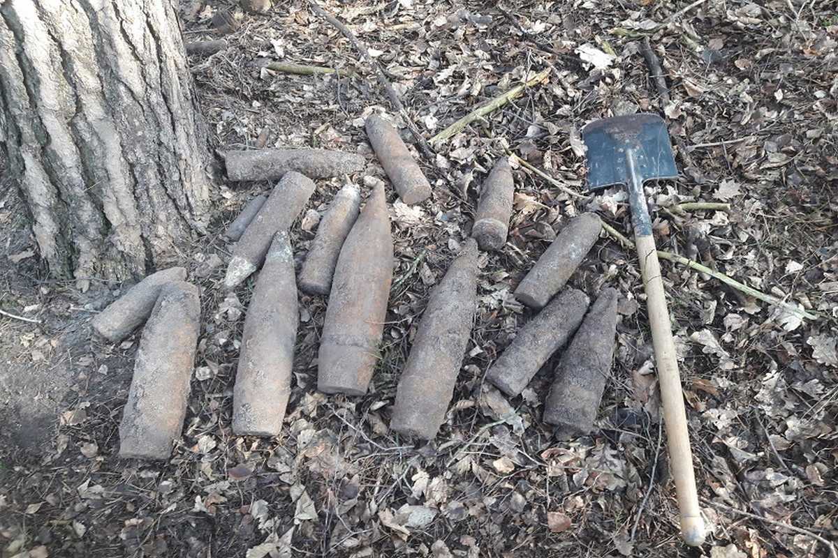 Pociski artyleryjskie znaleziono w lesie w Rudnikach