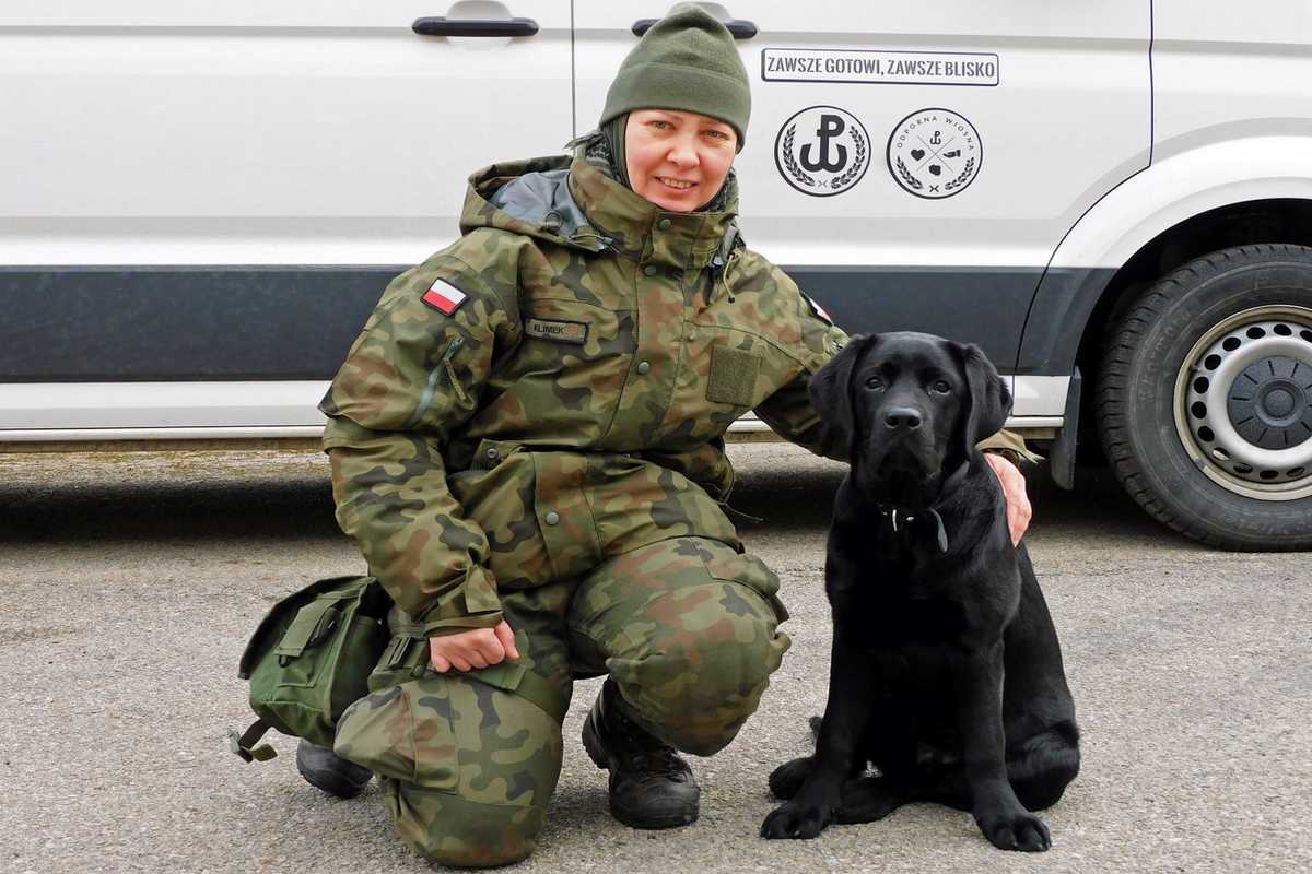 Psy ratownicze w 2 LBOT