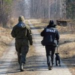 Psy ratownicze w 2 LBOT