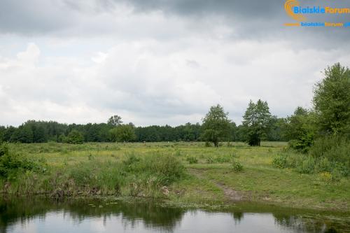 Tereny rekreacyjne przy żółtej wodzie otwarte