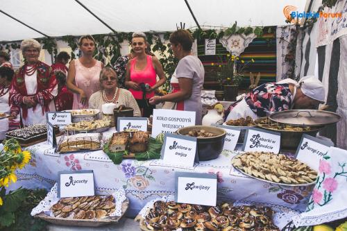 Obóz wojsk Stefana Czarnieckiego na ziemi konstantynowskiej
