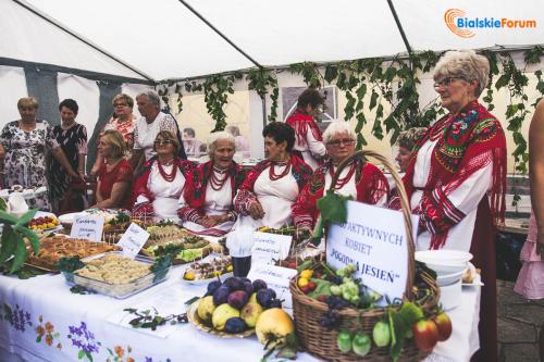 Obóz wojsk Stefana Czarnieckiego na ziemi konstantynowskiej