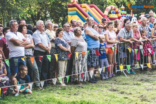 Obóz wojsk Stefana Czarnieckiego na ziemi konstantynowskiej