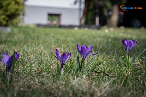 zaslugujemy na piekne miasto 1001