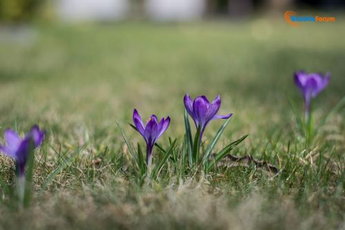 zaslugujemy na piekne miasto 1002