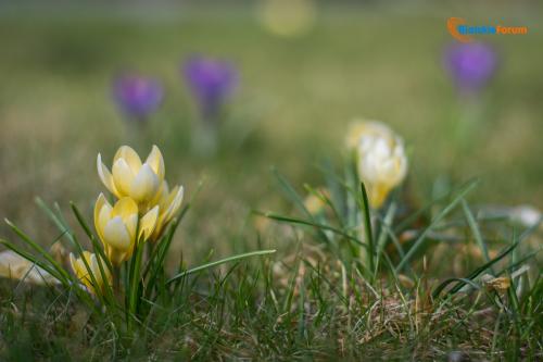 zaslugujemy na piekne miasto 1003