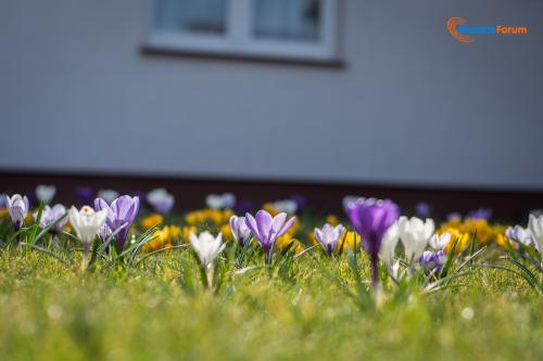 zaslugujemy na piekne miasto 1006