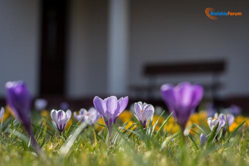 zaslugujemy na piekne miasto 1007