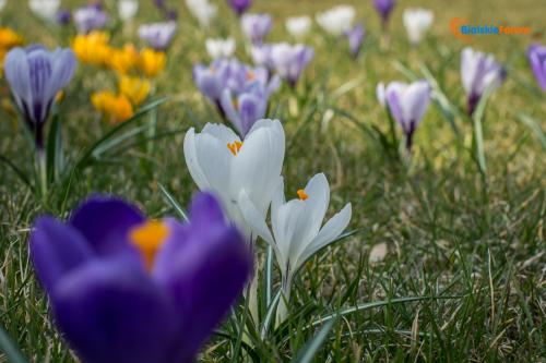 zaslugujemy na piekne miasto 1008