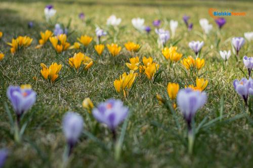 zaslugujemy na piekne miasto 1010