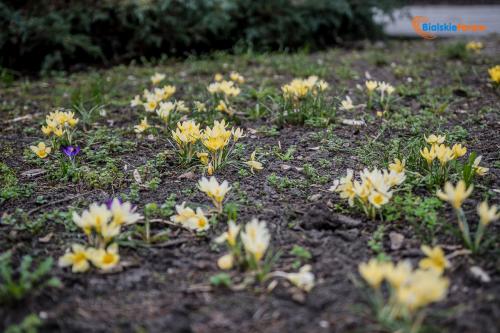 zaslugujemy na piekne miasto 1011