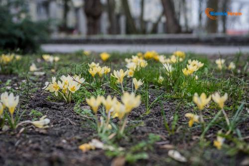 zaslugujemy na piekne miasto 1012