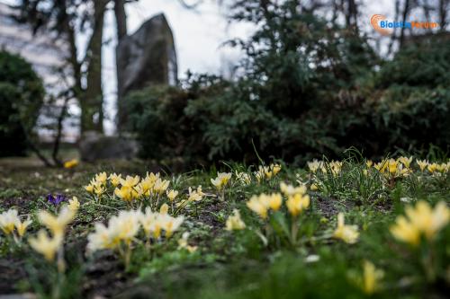 zaslugujemy na piekne miasto 1013