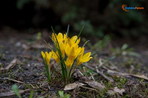 zaslugujemy na piekne miasto 1014