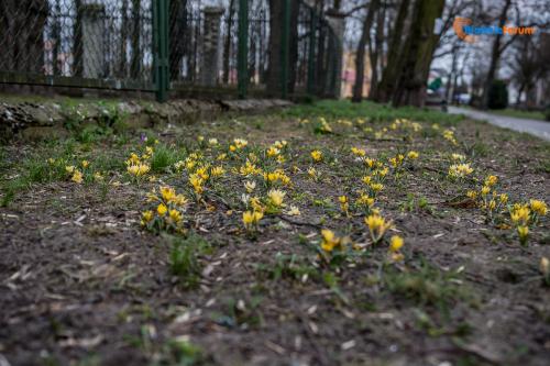 zaslugujemy na piekne miasto 1015