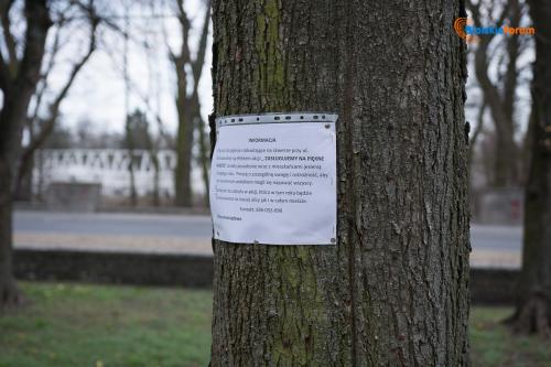 zaslugujemy na piekne miasto 1016