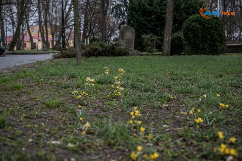 zaslugujemy na piekne miasto 1017