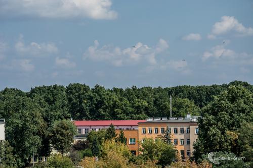 Miejskie-Obchody-Swieta-Lotnictwa-w-Bialej-Podlaskiej 1080